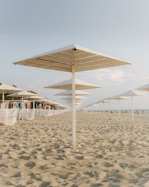 Rows of white umbrellas on the beach